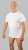 20 Nodi Mezzogiorno Sports T-Shirt White - Majice Kratkih Rukava - Muške Majice Kratkih Rukava Veliki Brojevi 