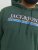 Jack & Jones Codyy Hoodie Green - Puloveri & dukserice - Muške Puloveri & dukserice veliki brojevi