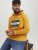 Jack & Jones Codyy Hoodie Yellow - Puloveri & dukserice - Muške Puloveri & dukserice veliki brojevi