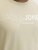 Jack & Jones Blaneo Short Sleeve T-shirt Beige - Majice Kratkih Rukava - Muške Majice Kratkih Rukava Veliki Brojevi 