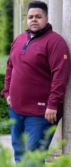 D555 HIRALDO Quarter Neck Pique Fleece Sweatshirt With Chest Embroidery Red - Puloveri & dukserice - Muške Puloveri & dukserice veliki brojevi