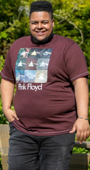 D555 DIVISION Official Pink Floyd Printed T-Shirt Burgundy - Majice Kratkih Rukava - Muške Majice Kratkih Rukava Veliki Brojevi 