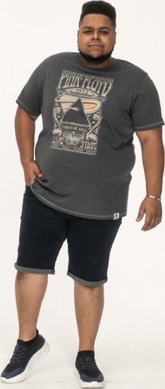 D555 HANLEY Official Pink Floyd Crew Neck T-Shirt Dark Grey - Majice Kratkih Rukava - Muške Majice Kratkih Rukava Veliki Brojevi 