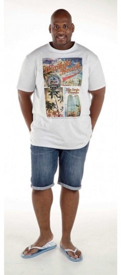 D555 Winthorp T-shirt White - Majice Kratkih Rukava - Muške Majice Kratkih Rukava Veliki Brojevi 