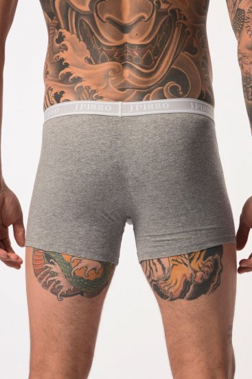 JP1880 Boxershorts Flexnamic OEKO-TEX Mid 2-Pack Grey/Off-White - Donje rublje & kupaće hlače - muške donje rublje veliki brojevi