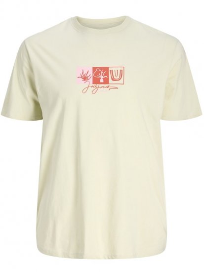 Jack & Jones Canggu Crew Neck T-Shirt Celadon Tint - Majice Kratkih Rukava - Muške Majice Kratkih Rukava Veliki Brojevi 