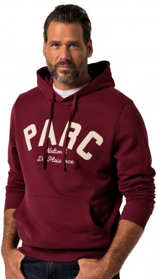 JP1880 Hoodie with Embroidery Aubergine - Puloveri & dukserice - Muške Puloveri & dukserice veliki brojevi